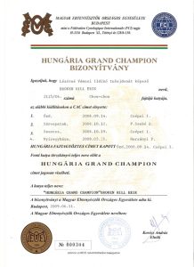 Hungária Grand Champion